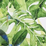 komplet-poscieli-monstera-200x220