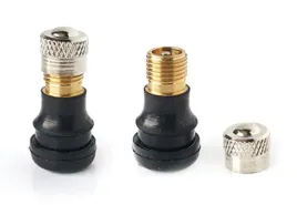 wentyl-zawor-do-opon-bezdetkowych-ninebot-max-g30