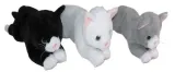 kot-45cm-mix