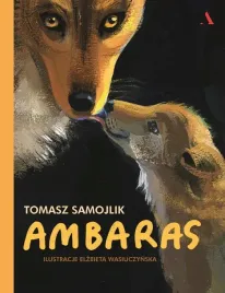 ambaras-tomasz-samojlik
