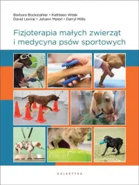 fizjoterapia-malych-zwierzat-i-medycyna-psow