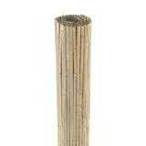 plot-bambusowy-baarle-200x500cm-natura