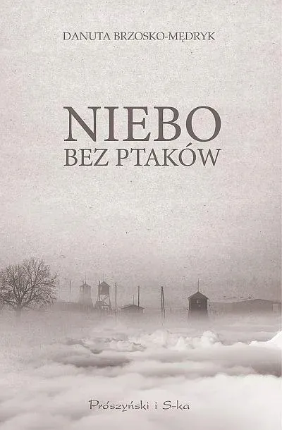 niebo-bez-ptakow