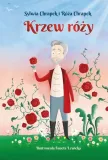 krzew-rozy