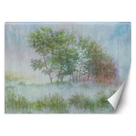 fototapeta-drzewa-na-mglistej-lace-100x70