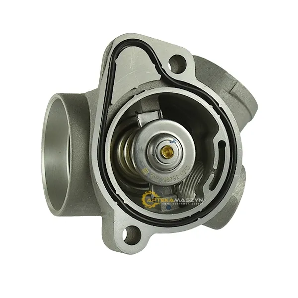 termostat-same-iron-150-7-165-7-continuo