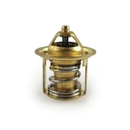 termostat-wody-case-cx15-cx15b-cx18b-cx17