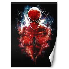 fototapeta-spider-man-barrett-biggers-200x280