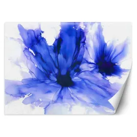 fototapeta-niebieskie-chabry-egle-minkuviene-450x315