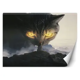 fototapeta-zolte-oczy-kota-zehem-chong-450x315