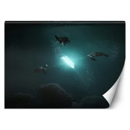 fototapeta-promien-swiatla-zehem-chong-450x315