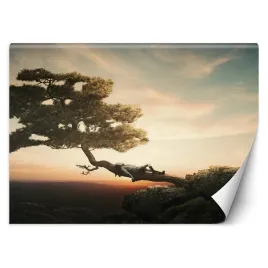 fototapeta-odpoczynek-nad-przepascia-zehem-chong-450x315