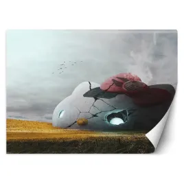 fototapeta-zapomniana-hello-kitty-zehem-chong-450x315