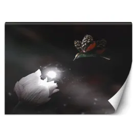 fototapeta-koliberek-i-magiczny-kwiat-zehem-chong-450x315