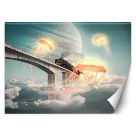 fototapeta-meduzy-na-niebie-zehem-chong-450x315