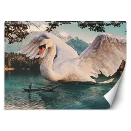 fototapeta-wielki-labedz-zehem-chong-450x315
