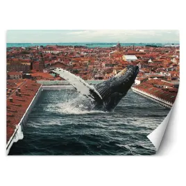 fototapeta-czysta-magia-zehem-chong-450x315