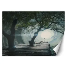 fototapeta-most-w-jaskini-zehem-chong-450x315
