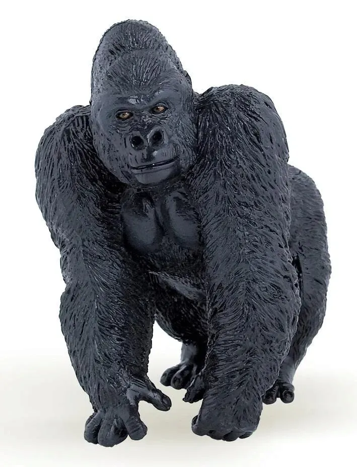 goryl