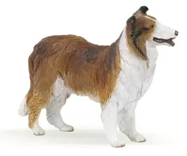 owczarek-collie