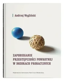 zapobieganie-przestepczosci-powrotnej