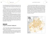 miasto-jutra-tytul-miasto-jutra