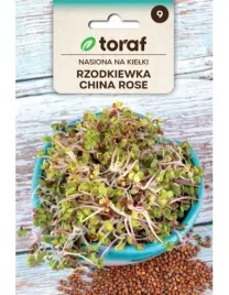 kielki-rzodkiewka-nasiona-china-rose-rzodkiewki-20g