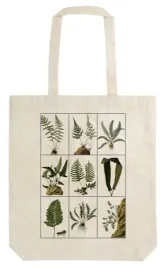 torba-bawelniana-stbag22-paprocie-shopperka