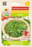 kielki-rukola-10g
