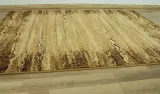 dywan-bezowy-brazowy-do-salonu-salvia-piaskowy-agnella-standard-230x340-cm-kolor-bezowy-odcienie-brazowego-wzor-abstrakcyjny