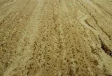 dywan-bezowy-brazowy-do-salonu-salvia-piaskowy-agnella-standard-230x340-cm-wzor-abstrakcyjny-kolor-bezowy-odcienie-brazowego