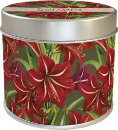 zapachowa-swieczka-gwiazda-bet-zapach-jablkowy