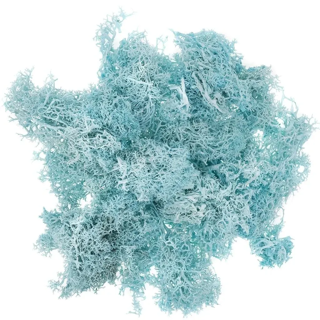 mech-turkusowy-30g