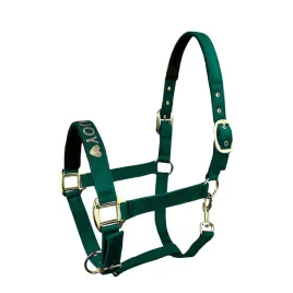 kantar-he-velvet-zielony-pony