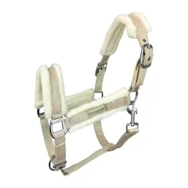 kantar-he-glossy-zloty-full