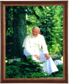 obraz-religijny-40x50-cm-w-ramie-drewnianej-jan-pawel-ii-pod-drzewem