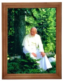 obraz-w-ramie-o-tematyce-religijnej-18x24cm-jan-pawel-ii-pod-drzewem