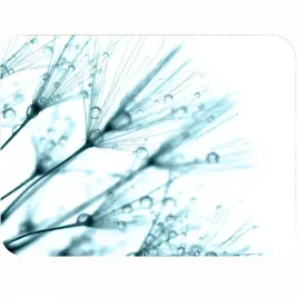 podkladka-dekoracyjna-korkowa-dandelions-blue-30x40-cm-folia-blysk