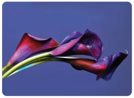 podkladka-korkowa-30x40cm-z-nadrukiem-flower-17-termoodporna