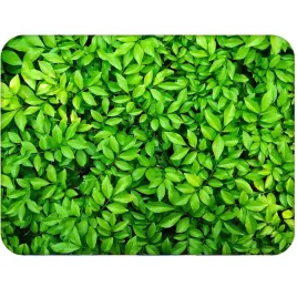 podkladka-korkowa-30x40-cm-z-nadrukiem-leaves-4-termoodporna