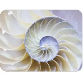 podkladka-korkowa-30x40-cm-spiral-shell-odporna-na-wysokie-temp