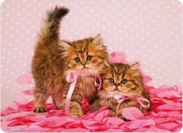 podkladka-corkowa-30x40-cm-z-nadrukiem-cat-3-odporna-na-temperature