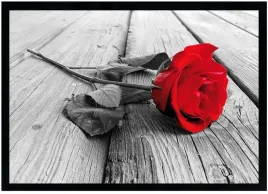 nowoczesny-obraz-w-czarnej-ramie-o-wymiarach-70x100-cm-rose-2