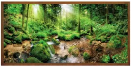 nowoczesny-obraz-w-brazowej-ramie-o-wymiarach-50x100-cm-forest-3