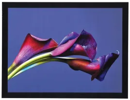 nowoczesny-obraz-w-czarnej-ramie-o-wymiarach-30x40-cm-flower-17