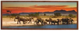 nowoczesny-obraz-w-brazowej-ramie-o-wymiarach-35x100-cm-elephants-2