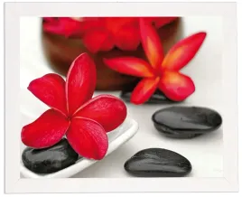 nowoczesny-obraz-w-bialej-ramie-w-rozmiarze-40x50-cm-flower-and-stone-4