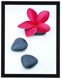 nowoczesny-obraz-w-czarnej-ramie-o-wymiarach-30x40-cm-flower-and-stone-7