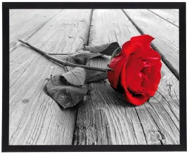 nowoczesny-obraz-w-czarnej-ramie-w-rozmiarze-40x50-cm-rose-2