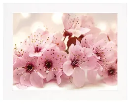 nowoczesny-obraz-w-bialej-ramie-o-wymiarach-30x40-cm-flower-1